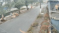 🔴 Ventania: Vídeo mostra homem que… | Morreu sendo atingido por árvore em Santos
