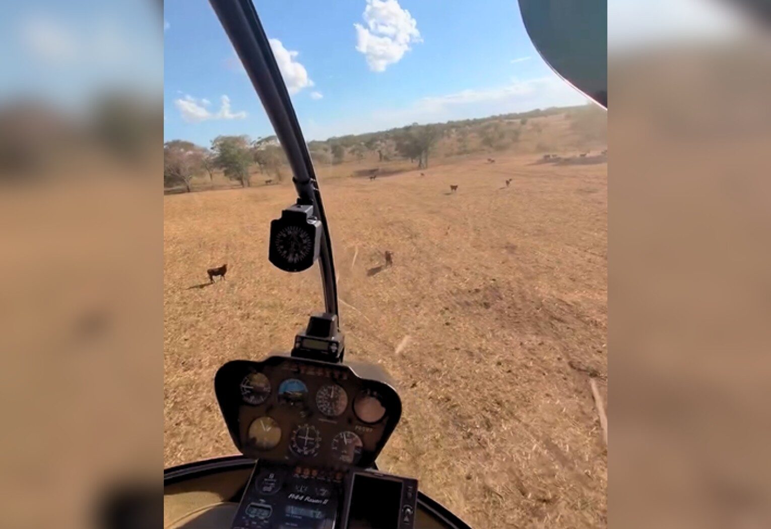 📌 Juliano, da dupla com Henrique,… | Faz treino em helicóptero e se diverte tocando gado em fazenda; VÍDEO